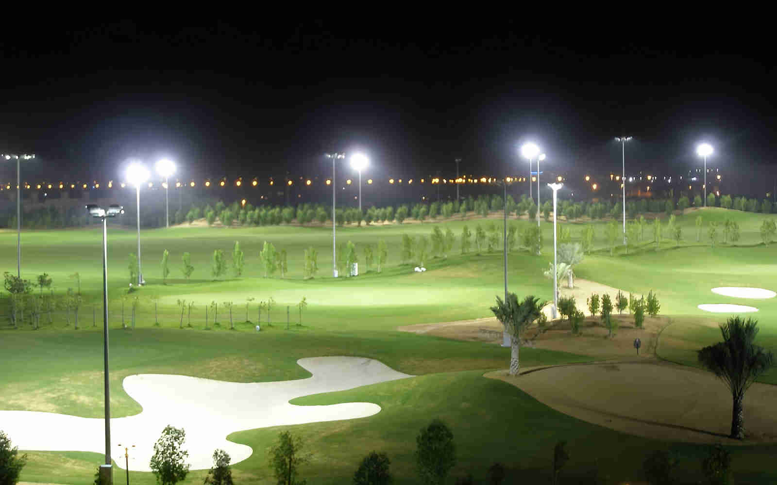 LED Flood Light installed in Park LED Flood Light installed in Park