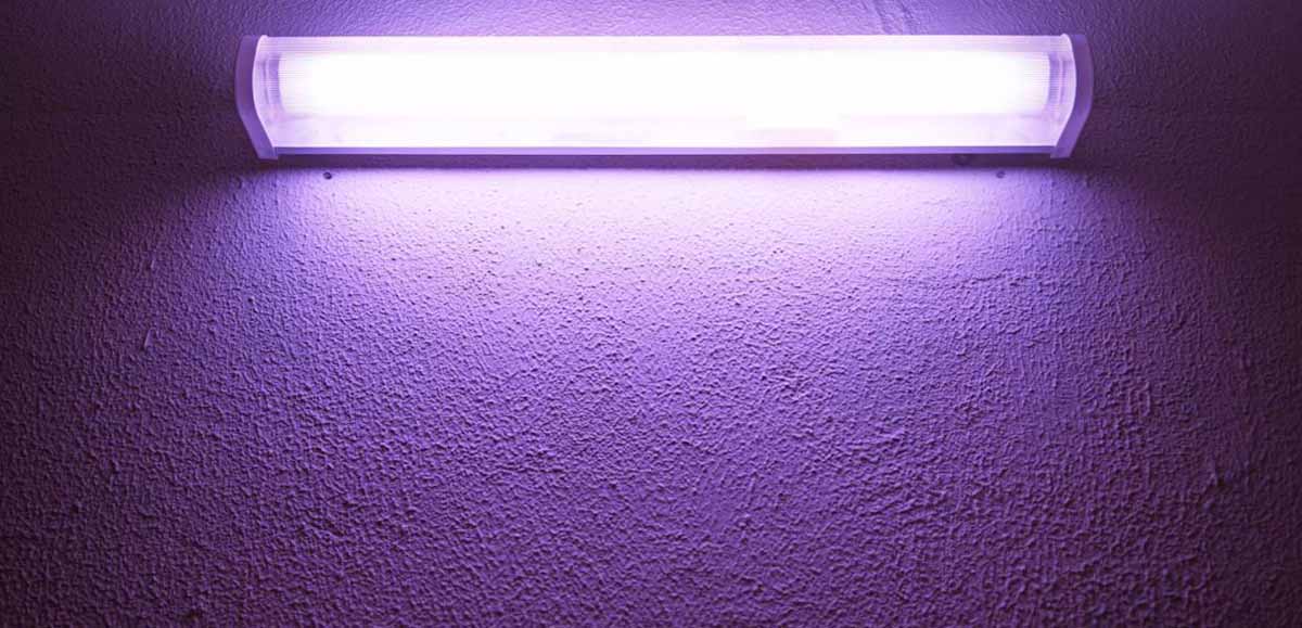 UV Light Bulbs