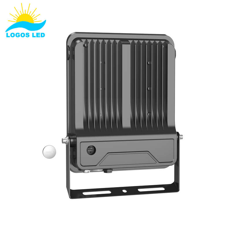 PAX LED Flood Light (1)