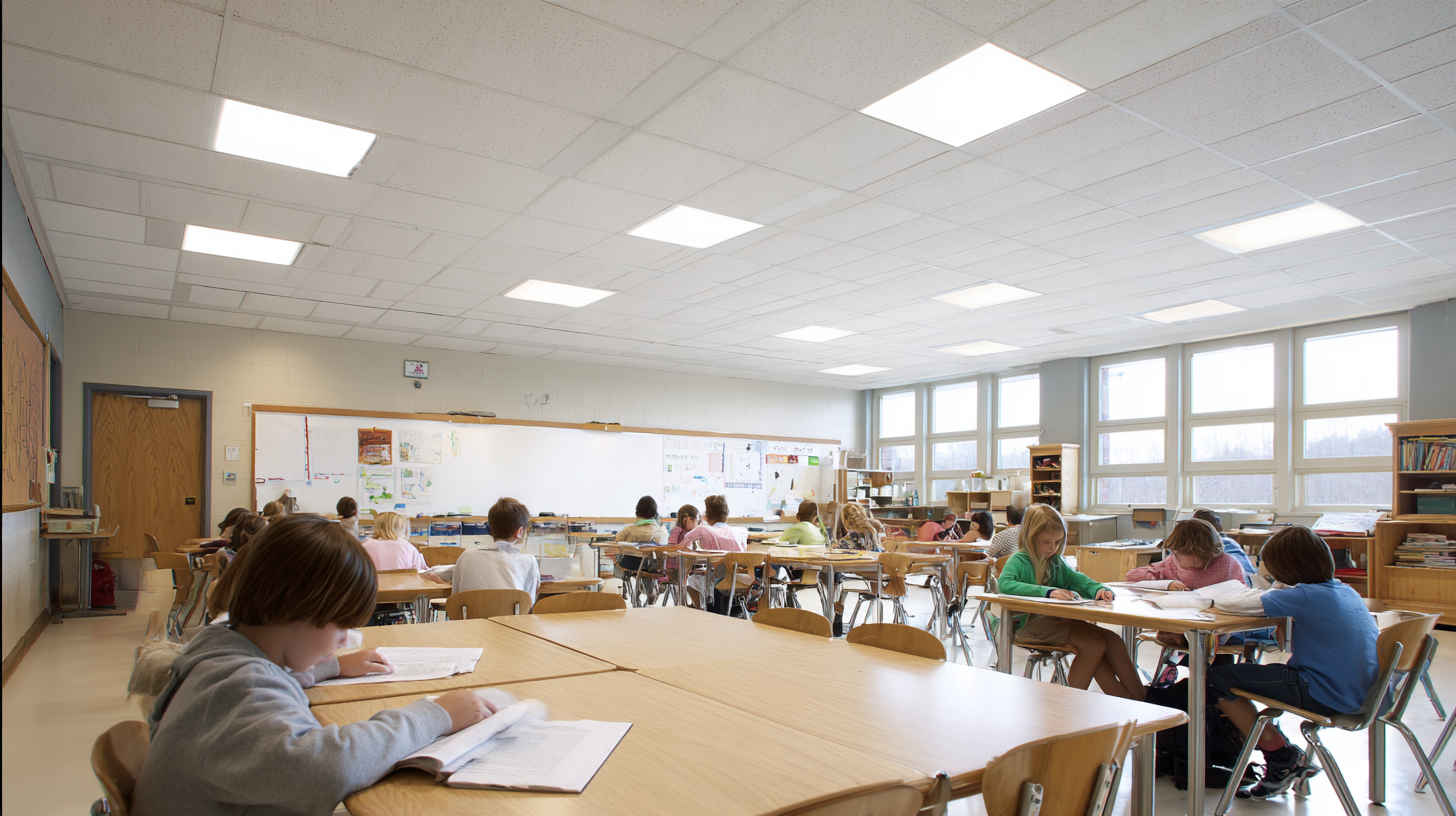 View of Modern Large Chandeliers and Suspension Lights - Lumens